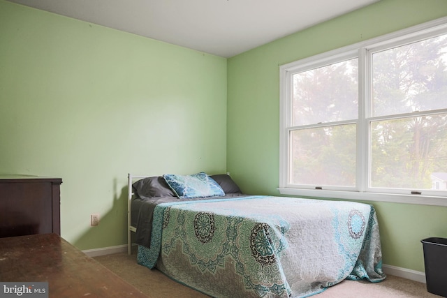 102 Gardengate Rd, Camden Wyoming, DE 19934 - carpeted bedroom with baseboards