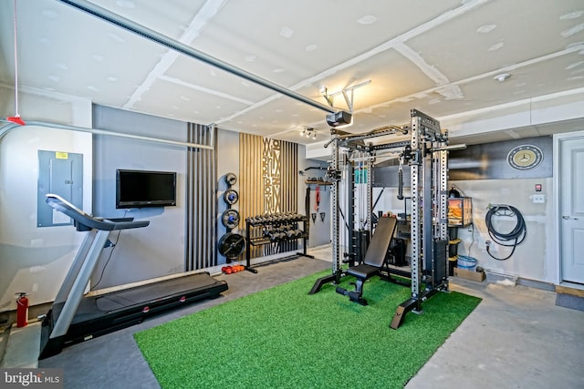 35290 Wright Way, Millsboro, DE 19966 - workout area featuring a garage and electric panel