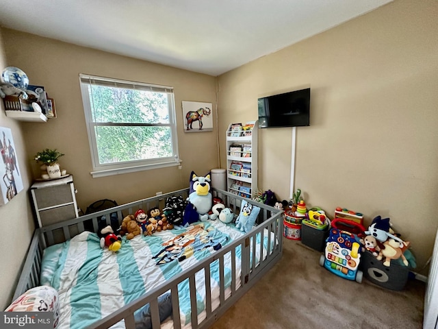 230 W Federal St, Burlington, NJ 08016 - rec room featuring carpet