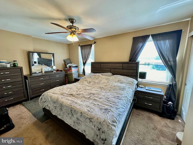 230 W Federal St, Burlington, NJ 08016 - bedroom with light colored carpet, multiple windows, and a ceiling fan