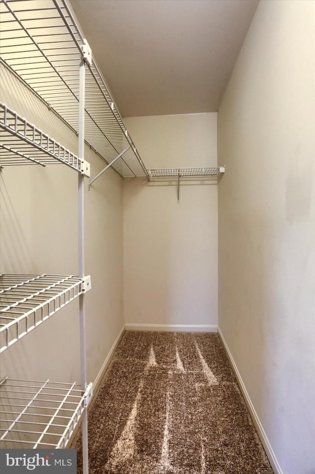 205 Saddle Ridge Dr, Harrisburg, PA 17110 - spacious closet with carpet