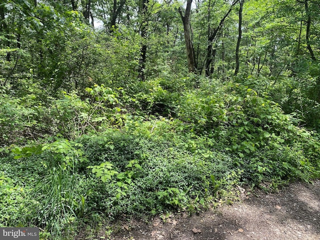 Oakwood St, Cumberland, MD 21502