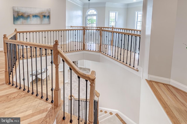 42720 Mount Auburn Pl, Broadlands, VA 20148 - staircase featuring ornamental molding and baseboards