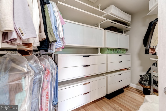 42720 Mount Auburn Pl, Broadlands, VA 20148 - walk in closet featuring light wood-style floors