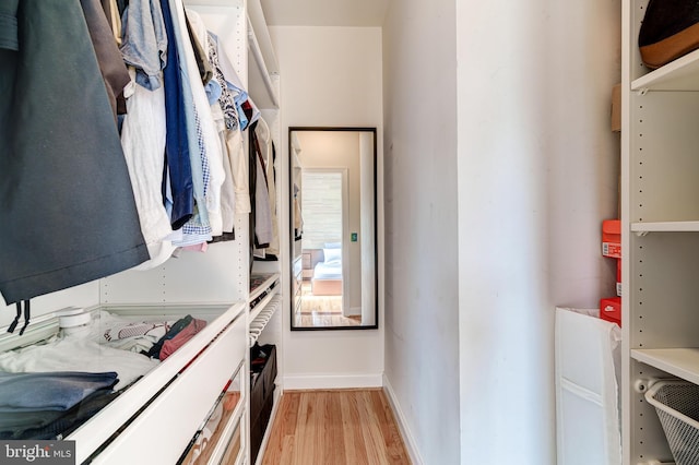 42720 Mount Auburn Pl, Broadlands, VA 20148 - walk in closet with light wood-type flooring