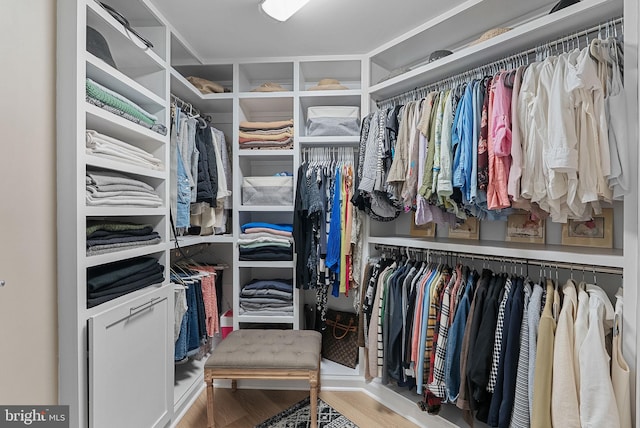 22415 Conservancy Dr, Ashburn, VA 20148 - spacious closet with wood finished floors