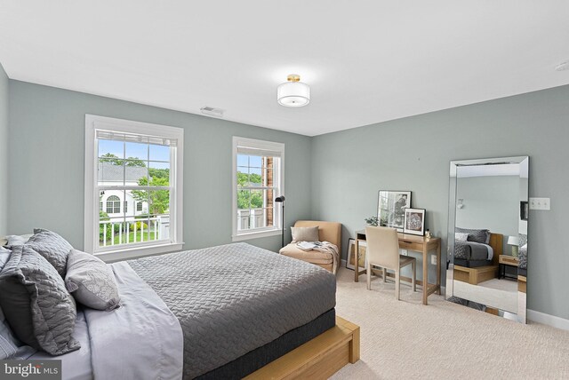 22415 Conservancy Dr, Ashburn, VA 20148 - carpeted bedroom with baseboards