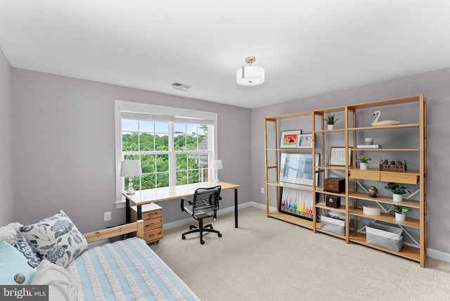 22415 Conservancy Dr, Ashburn, VA 20148 - home office with carpet flooring and baseboards