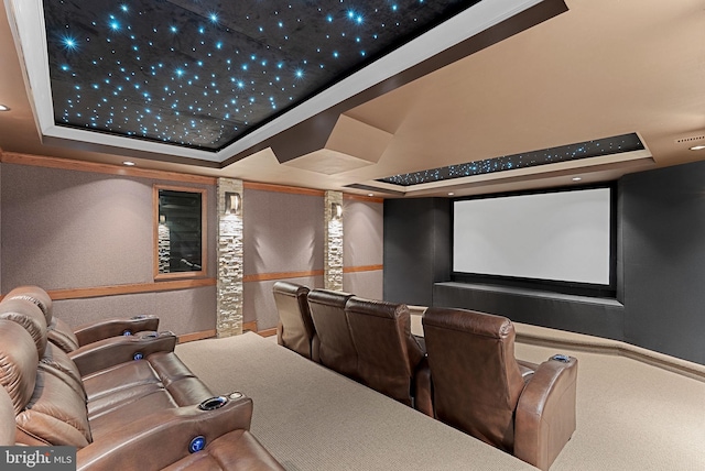 22415 Conservancy Dr, Ashburn, VA 20148 - cinema room with a tray ceiling and baseboards