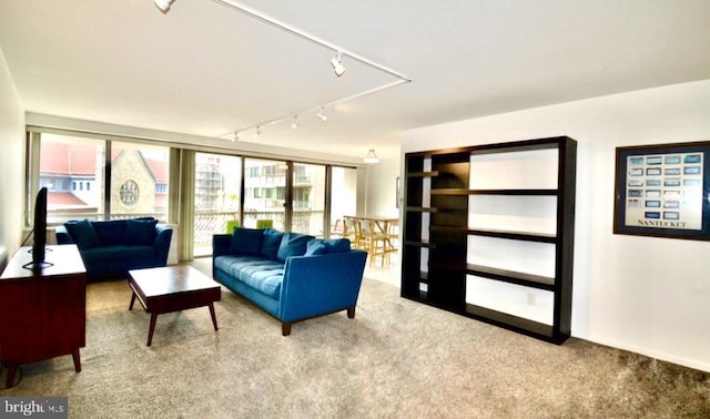 2401 Pennsylvania Ave Unit 6B29, Philadelphia, PA 19130 - living area with track lighting and carpet