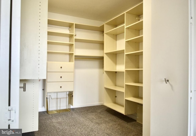2401 Pennsylvania Ave Unit 6B29, Philadelphia, PA 19130 - spacious closet with dark colored carpet