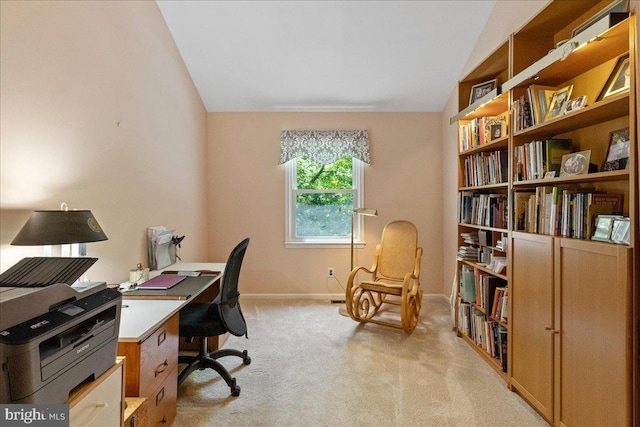 15 Hamilton Ct, Lawrenceville, NJ 08648 - office space with lofted ceiling, light colored carpet, and baseboards