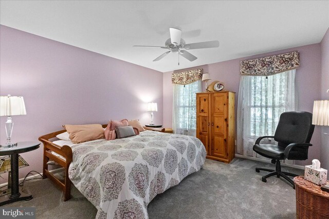 15 Hamilton Ct, Lawrenceville, NJ 08648 - bedroom featuring carpet flooring and a ceiling fan