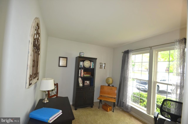 6385 Hunters Crossing Ct, Eldersburg, MD 21784 - office area featuring healthy amount of natural light and light colored carpet