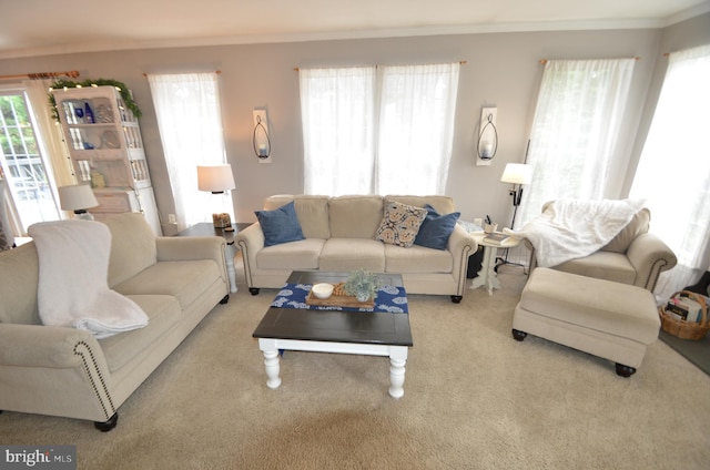 6385 Hunters Crossing Ct, Eldersburg, MD 21784 - living area featuring ornamental molding, plenty of natural light, and carpet