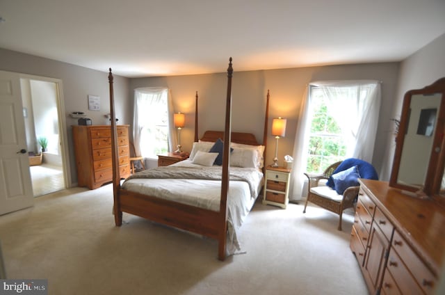 6385 Hunters Crossing Ct, Eldersburg, MD 21784 - bedroom with light colored carpet and multiple windows