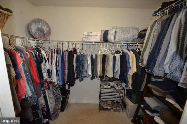 6385 Hunters Crossing Ct, Eldersburg, MD 21784 - walk in closet with carpet flooring