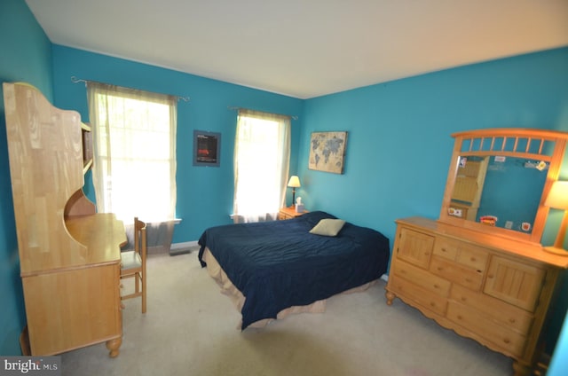 6385 Hunters Crossing Ct, Eldersburg, MD 21784 - view of carpeted bedroom