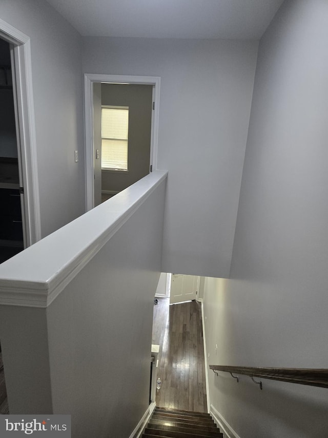 524 N Patterson Park Ave N, Baltimore, MD 21205 - stairs with wood-type flooring and baseboards