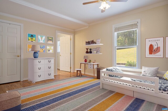 4122 Green Creek Rd, Schuyler, VA 22969