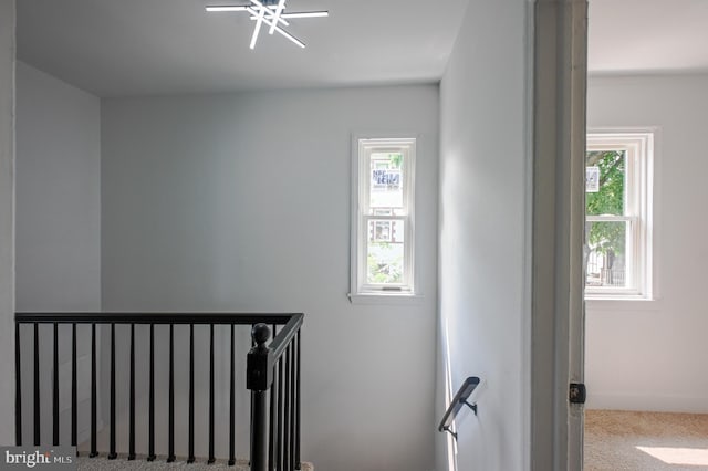 4504 Clay St NE, Washington, DC 20019 - stairway with plenty of natural light and carpet