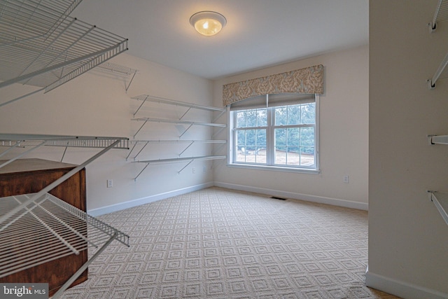 4408 Irish Creek Rd, Bernville, PA 19506 - view of spacious closet