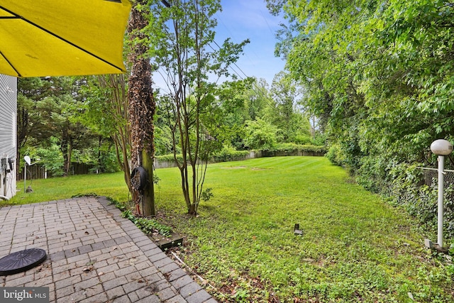10401 Zion Dr, Fairfax, VA 22032 - view of yard featuring a patio area
