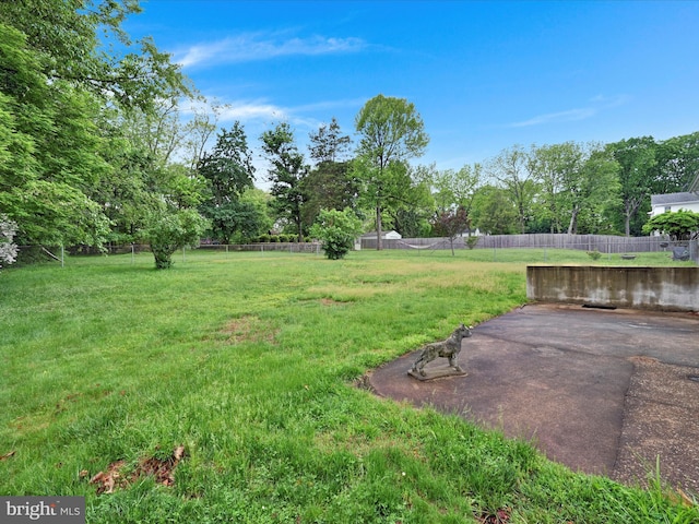 1122 Sheffield Dr, Berwyn, PA 19312 - view of yard