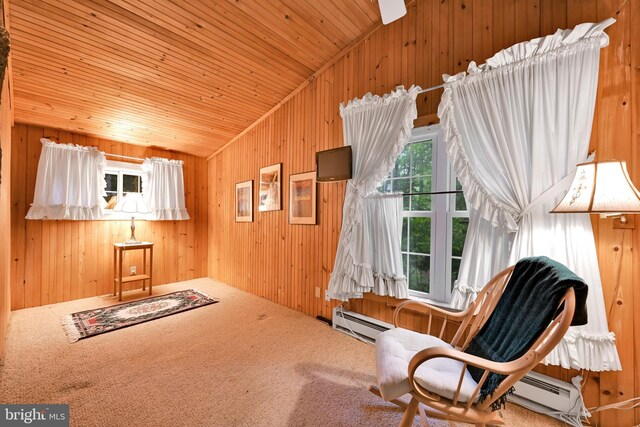 210 Pennsylvania Ave, Mount Gretna, PA 17064 - sitting room with vaulted ceiling, carpet, wooden walls, wooden ceiling, and baseboard heating