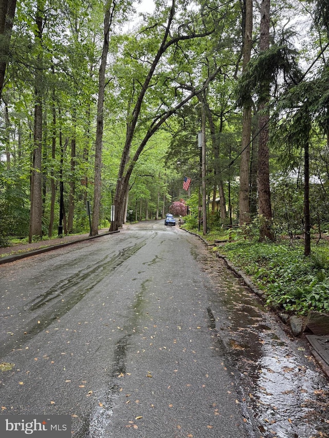 210 Pennsylvania Ave, Mount Gretna, PA 17064 - view of asphalt street featuring a view of trees