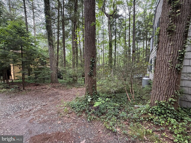 210 Pennsylvania Ave, Mount Gretna, PA 17064 - view of local wilderness