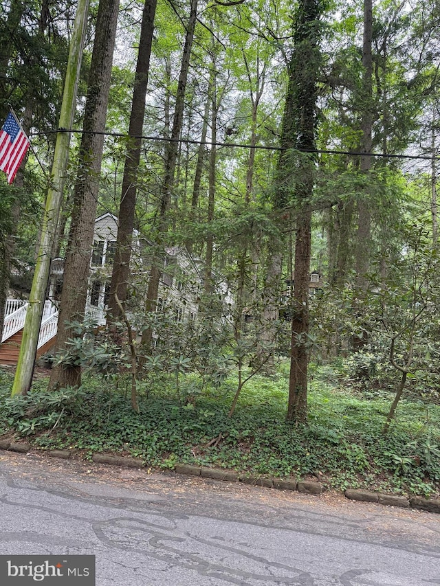 210 Pennsylvania Ave, Mount Gretna, PA 17064 - view of undeveloped land
