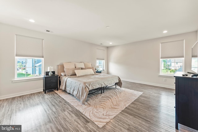 2042 Morgan Creek Dr, Quakertown, PA 18951 - bedroom featuring multiple windows, wood finished floors, baseboards, and recessed lighting