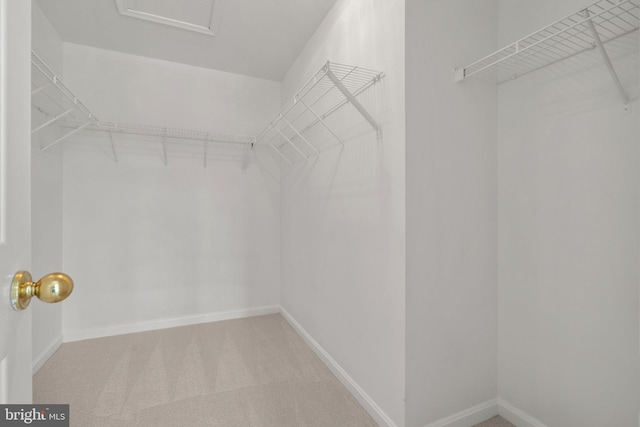 17504 Cajun Ct, Dumfries, VA 22025 - walk in closet featuring carpet floors