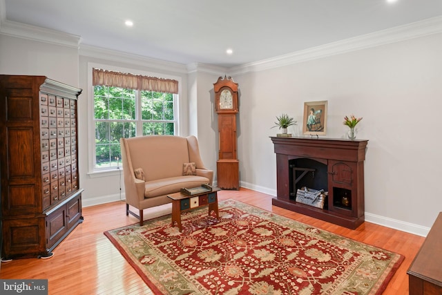 33 Waterview Dr, Pilesgrove, NJ 08098 - sitting room featuring ornamental molding, light wood-type flooring, baseboards, a fireplace with raised hearth, and recessed lighting