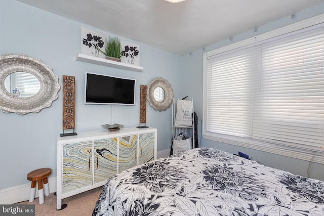 1419 Ellsworth St, Philadelphia, PA 19146 - bedroom with carpet flooring, baseboards, and multiple windows