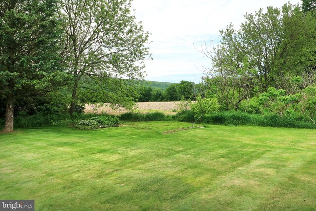 128 Penns Ct, Centre Hall, PA 16828 - view of green lawn
