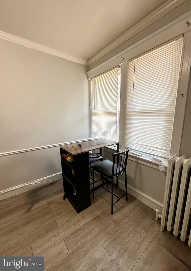 6412 N Sydenham St, Philadelphia, PA 19126 - office featuring radiator, ornamental molding, wood finished floors, and baseboards