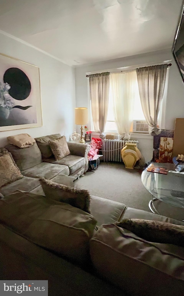 6412 N Sydenham St, Philadelphia, PA 19126 - living room with carpet