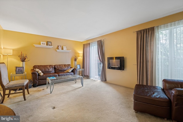39 Silentwood Ct, Owings Mills, MD 21117 - view of carpeted living area