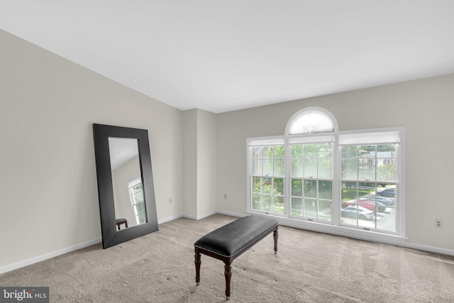 6 Victoria Sq, Frederick, MD 21702 - sitting room featuring healthy amount of natural light, carpet flooring, and baseboards