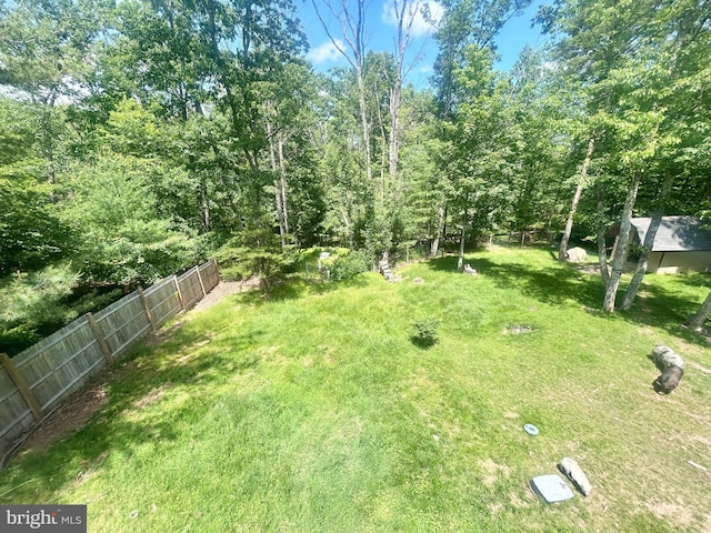 415 Rolly Rd, Mount Jackson, VA 22842 - view of yard