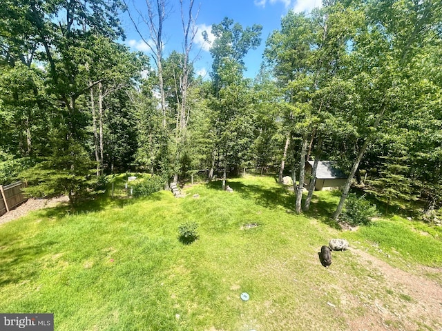 415 Rolly Rd, Mount Jackson, VA 22842 - view of yard