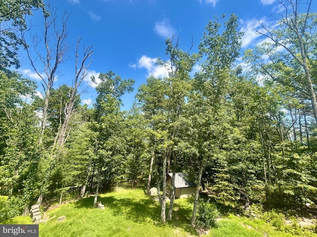 415 Rolly Rd, Mount Jackson, VA 22842 - view of green lawn featuring a forest view
