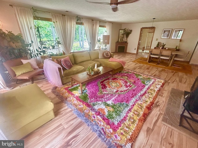 415 Rolly Rd, Mount Jackson, VA 22842 - living area featuring wood finished floors, a textured ceiling, and a ceiling fan