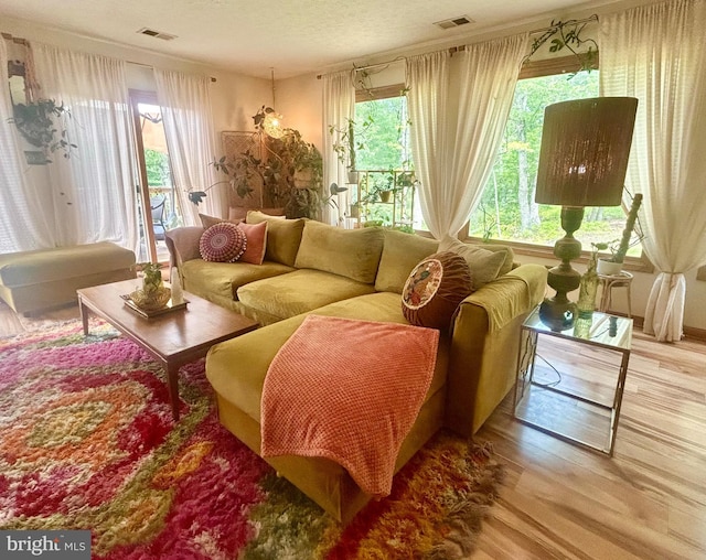 415 Rolly Rd, Mount Jackson, VA 22842 - living area featuring wood finished floors