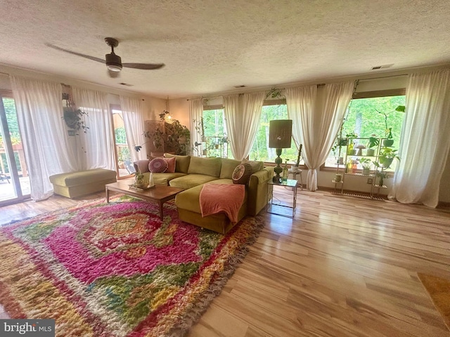 415 Rolly Rd, Mount Jackson, VA 22842 - living area with a textured ceiling, ceiling fan, and wood finished floors