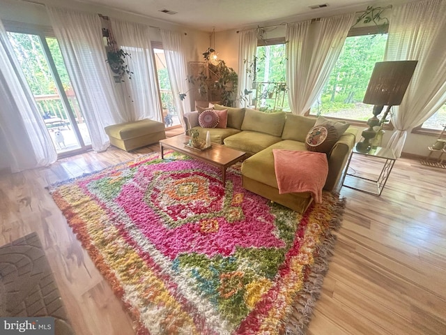 415 Rolly Rd, Mount Jackson, VA 22842 - living area featuring healthy amount of natural light and wood finished floors