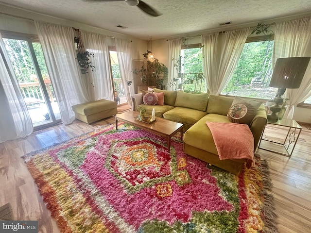 415 Rolly Rd, Mount Jackson, VA 22842 - living area featuring a textured ceiling, wood finished floors, and ceiling fan