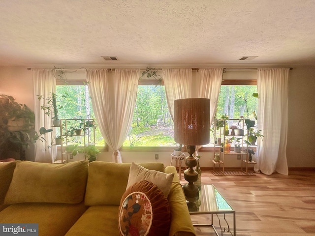 415 Rolly Rd, Mount Jackson, VA 22842 - living area with a textured ceiling, healthy amount of natural light, and wood finished floors